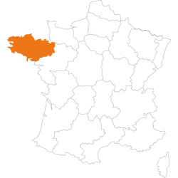 carte mandataire Plomelin